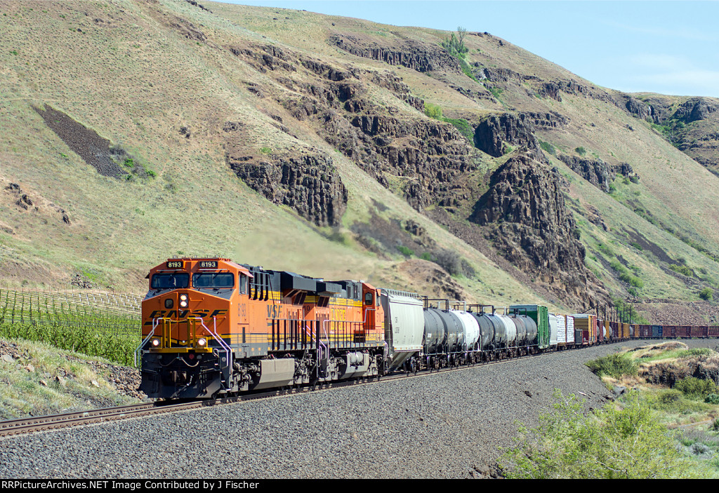 BNSF 8193